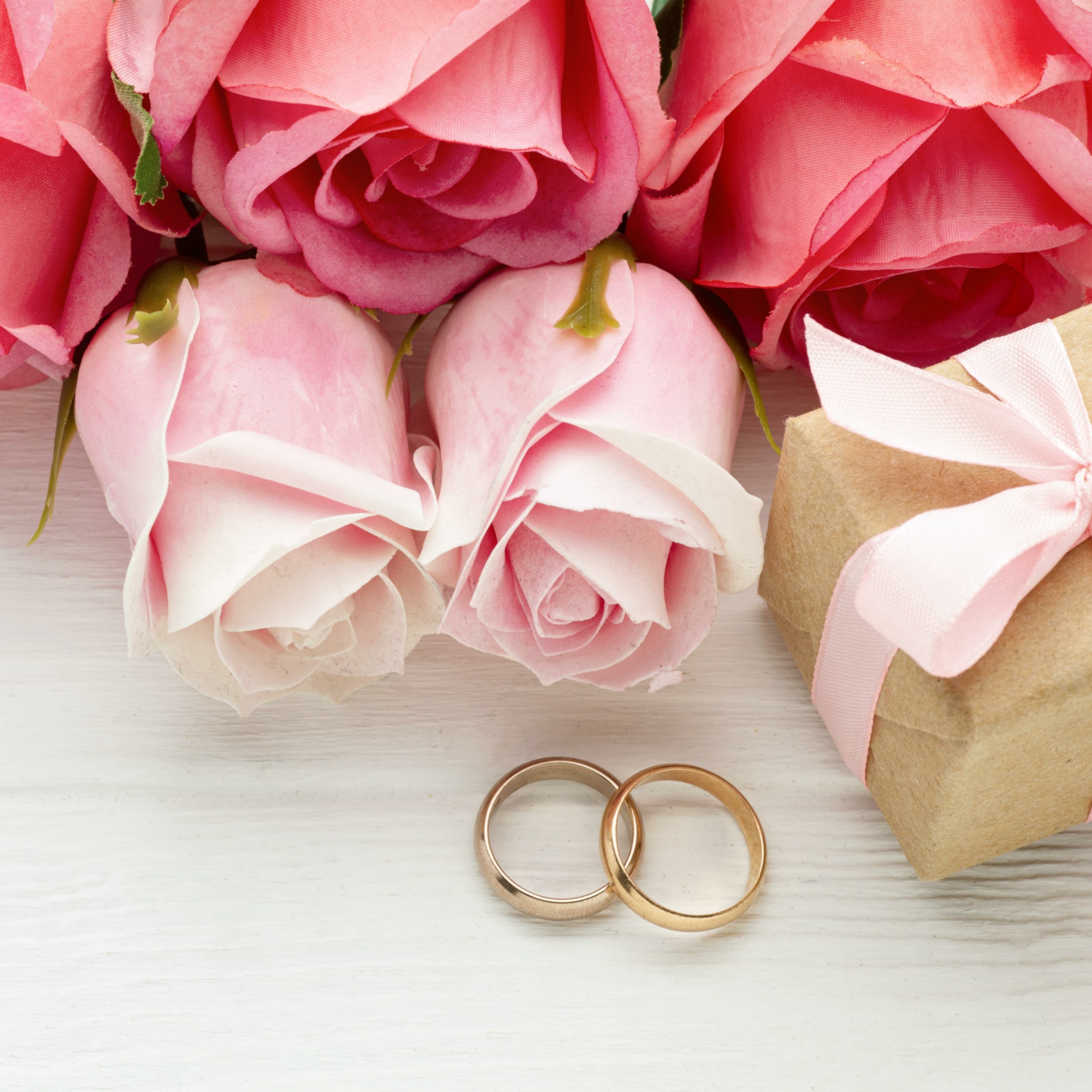 close up pink roses wedding rings scaled